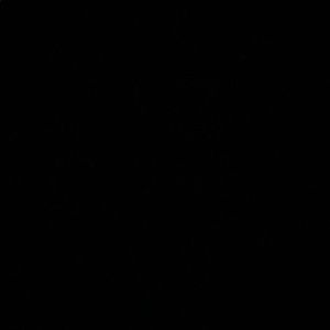 Meet your Posher, Tyron